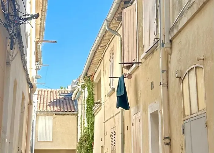 Gite Avignon Bougainvillier